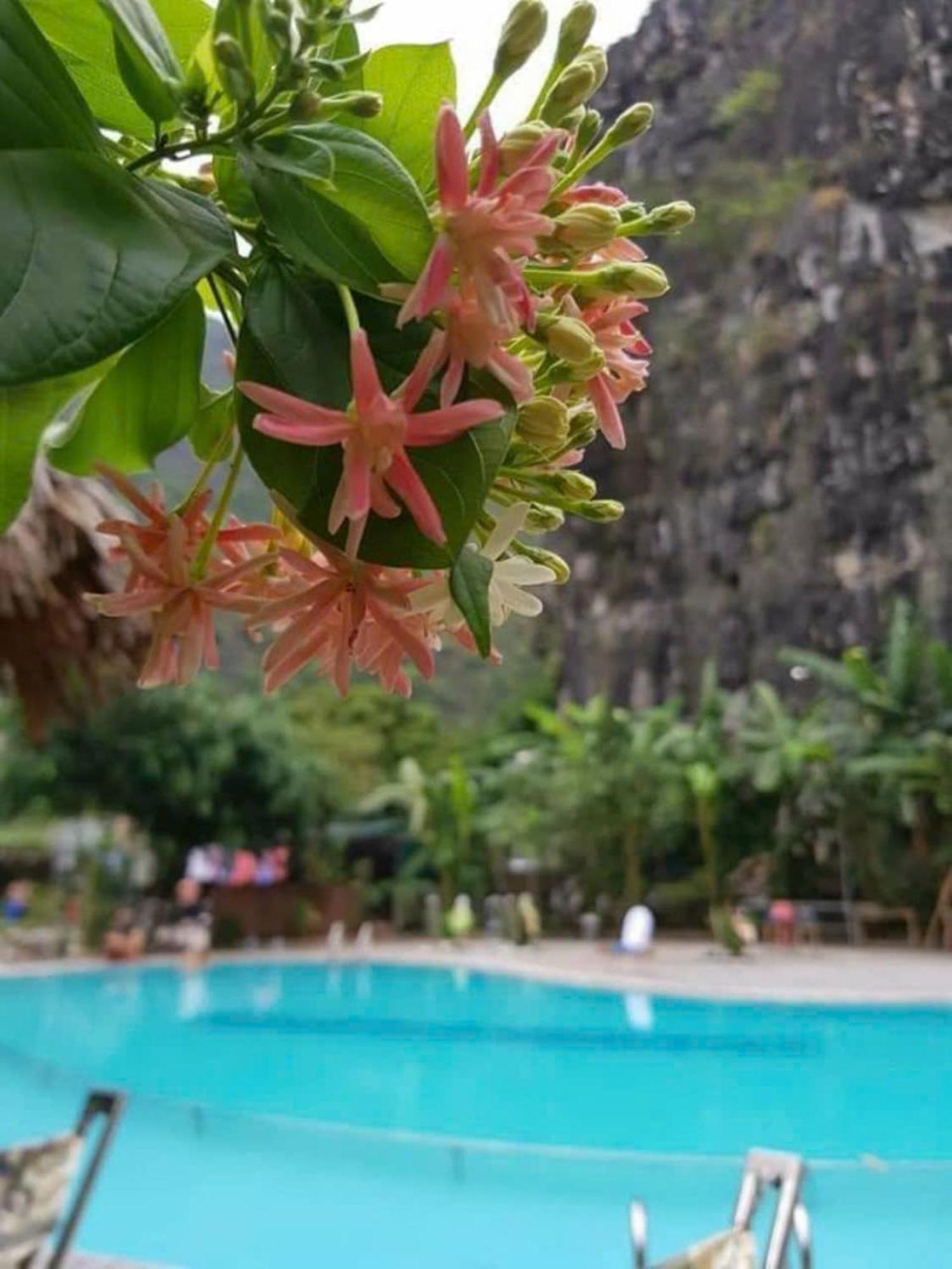 Hoalu Backpacker Homestay นิญบิ่ญ ภายนอก รูปภาพ