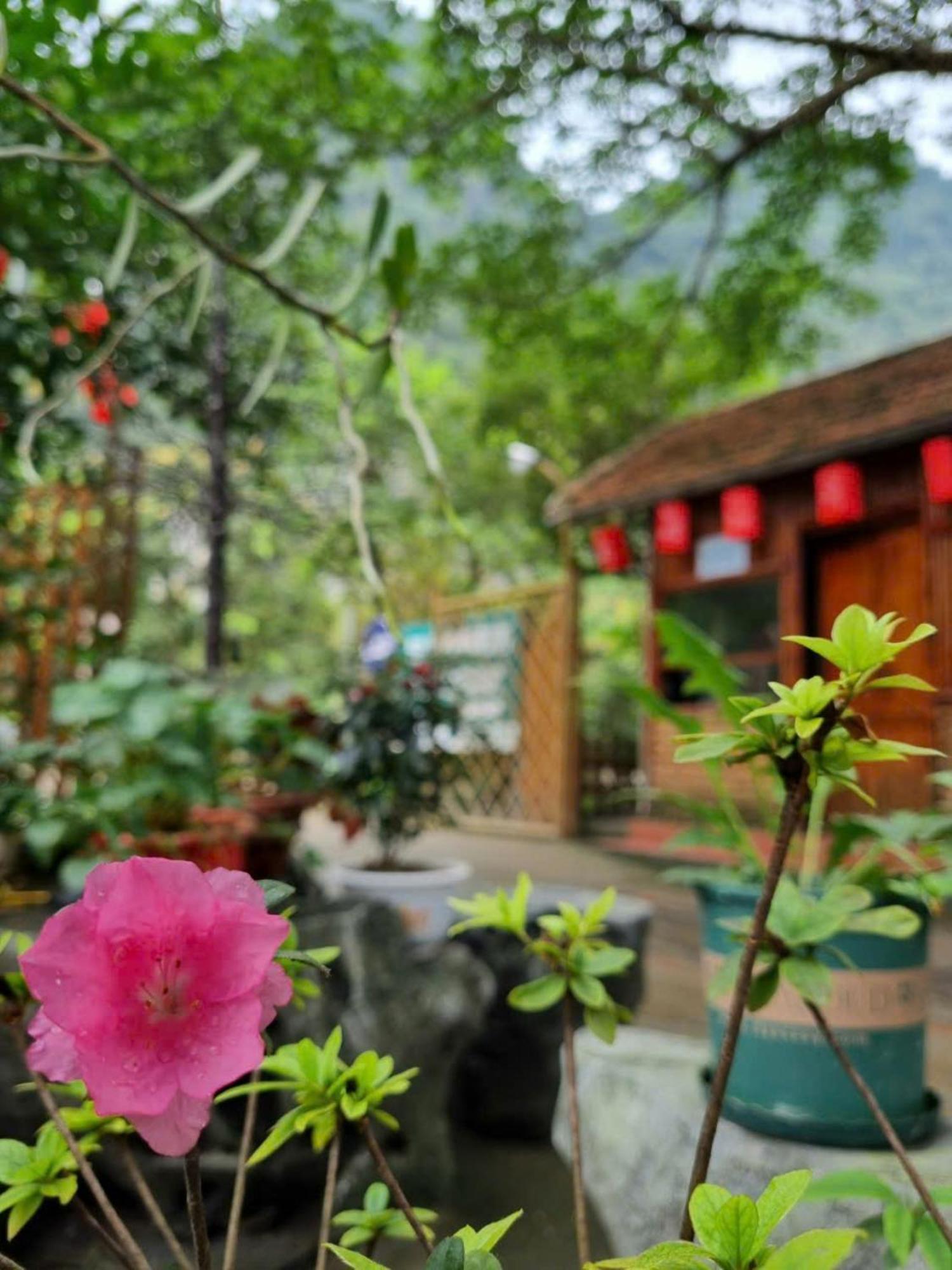 Hoalu Backpacker Homestay นิญบิ่ญ ภายนอก รูปภาพ