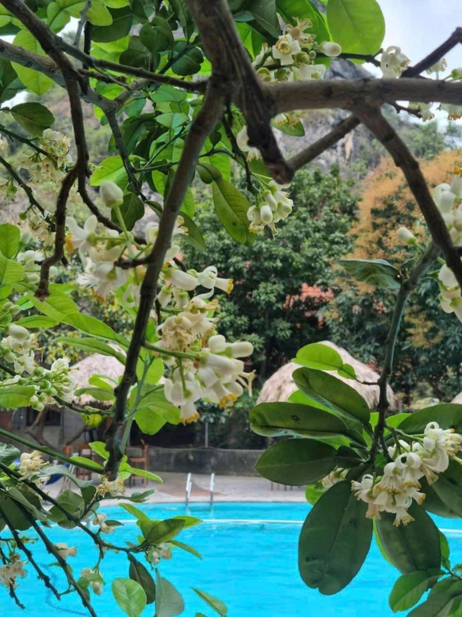 Hoalu Backpacker Homestay นิญบิ่ญ ภายนอก รูปภาพ